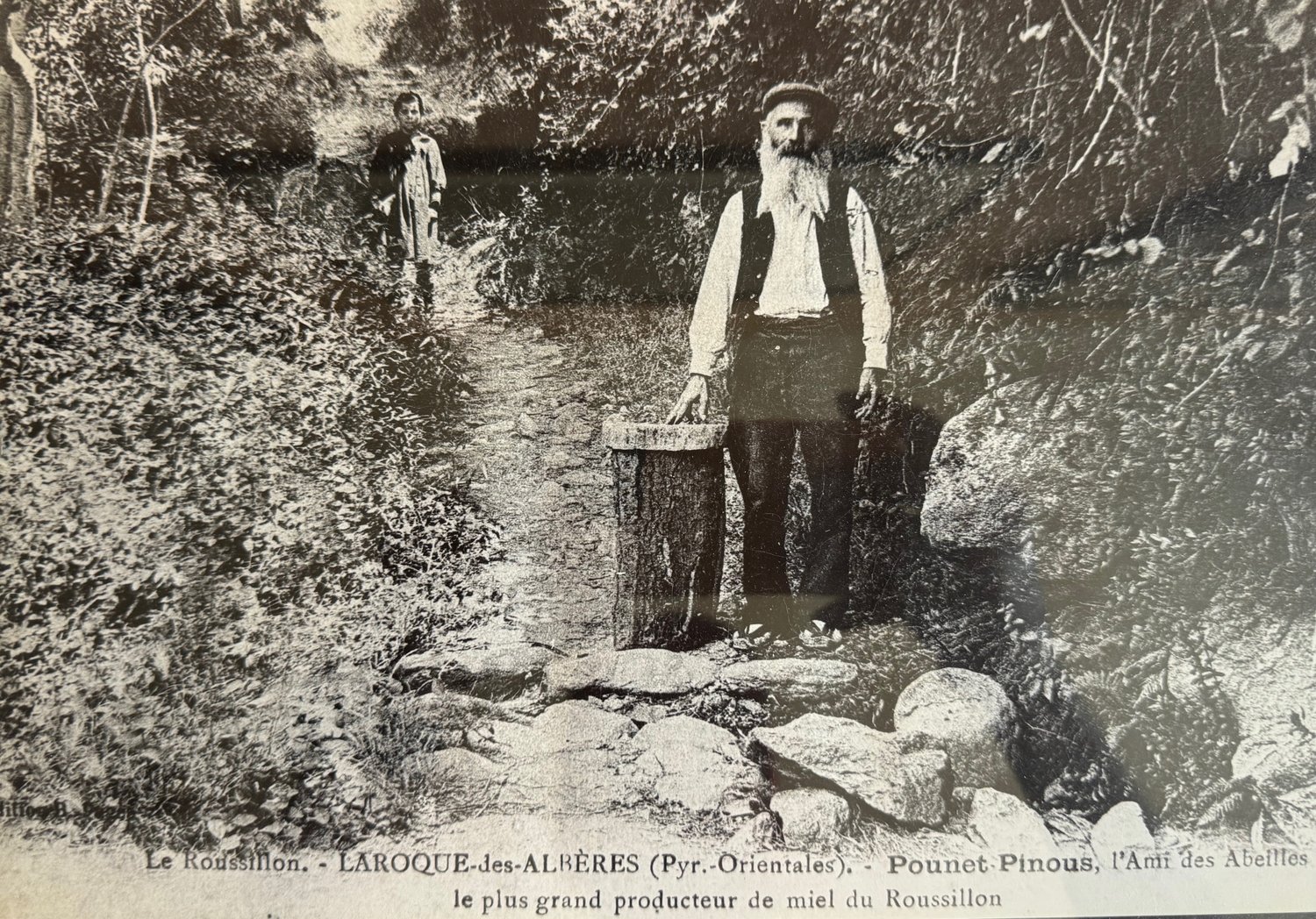 Carte postale ancienne, Pounet Pinous devant ses ruches à Laroque-des-Albères