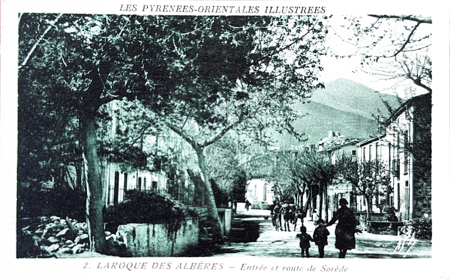 Carte postale ancienne, l'entrée de Laroque et la route de Sorède bordée de platanes