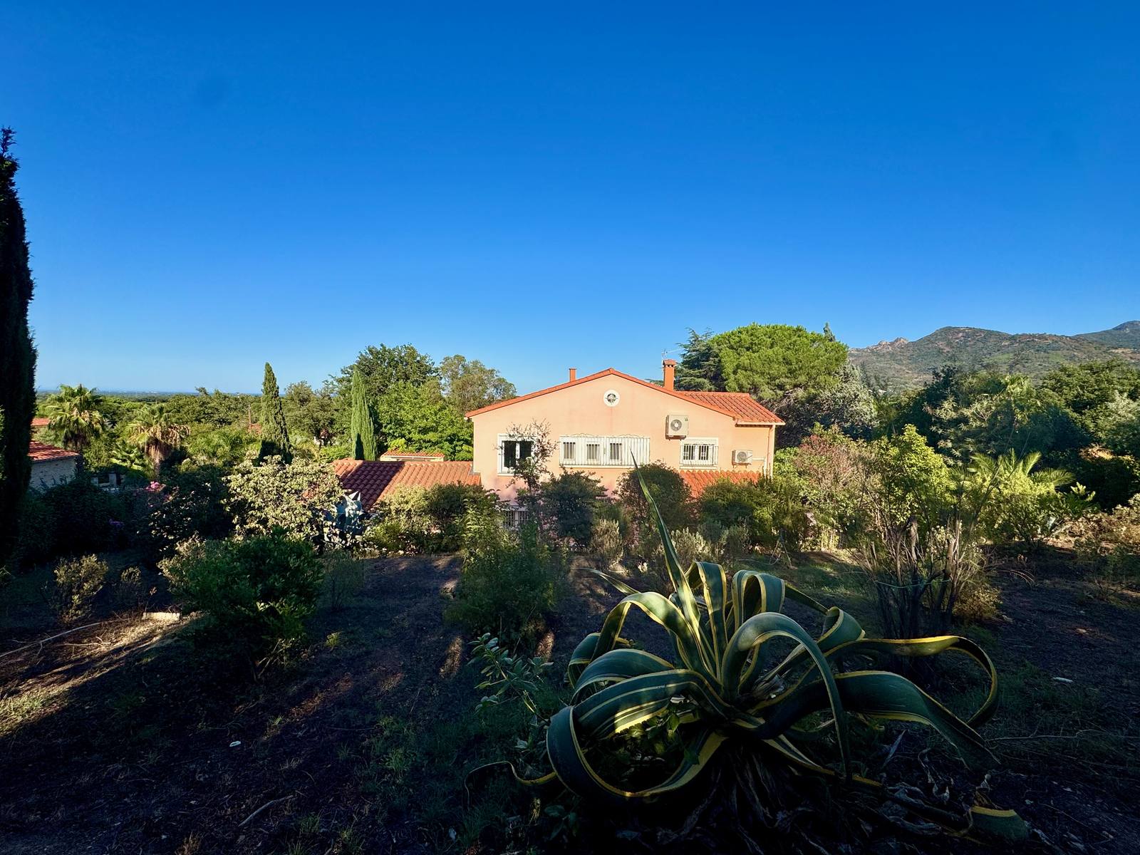 La villa vue du fond du jardin, un agave au premier plan