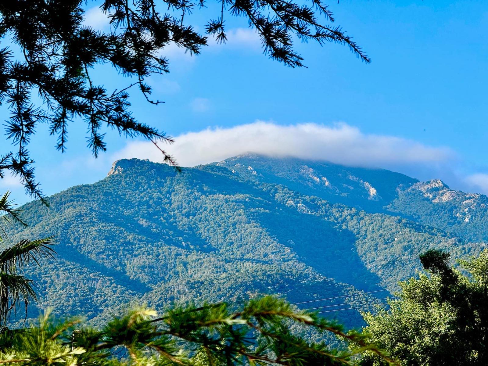 Les Albères vues de la villa