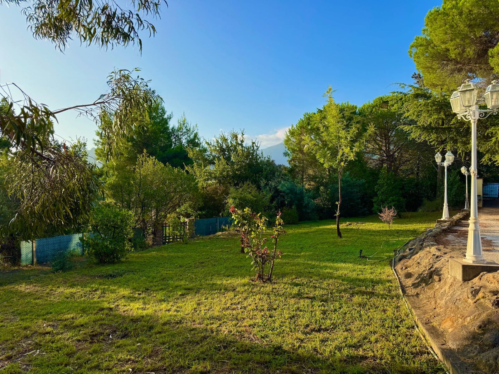 La pelouse du jardin