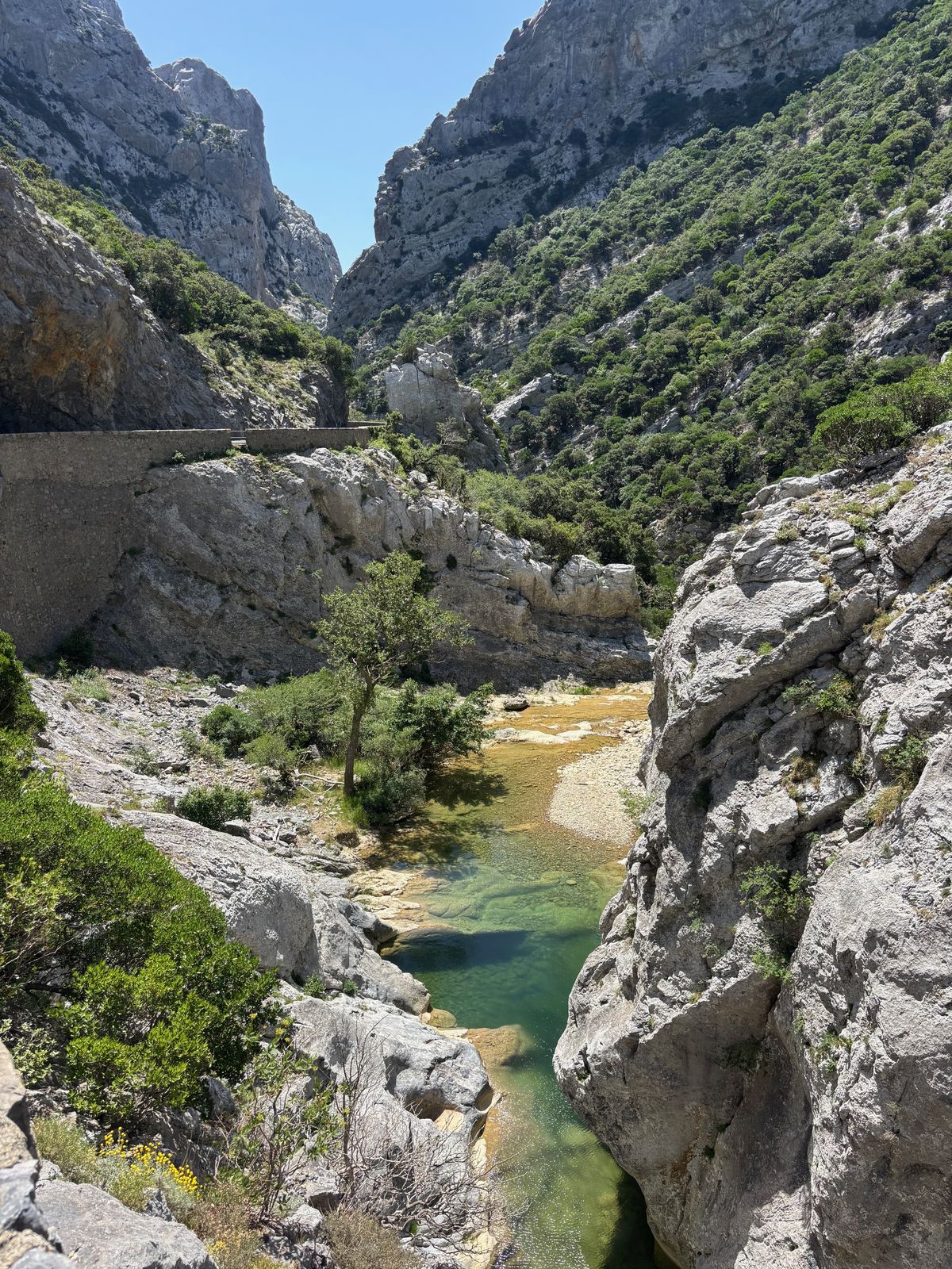Les gorges de Galamus, la route en corniche accrochée à la paroi et l'Agly au fond du couloir de calcaire